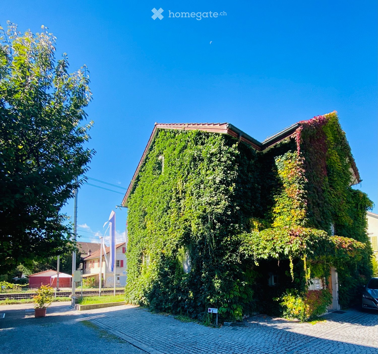 House. Two-story house covered in lush green ivy, with a clear blue sky background and surrounding trees. The house has a tiled roof and is situated on a paved driveway.