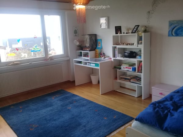 Freistehendes 6.5 EFH in Bottighofen an traumhafter Lage 7