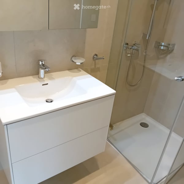 Appartement neuf (Projet Prisma): Nr. F53, regardez le vidéo, visitez maintenant 13