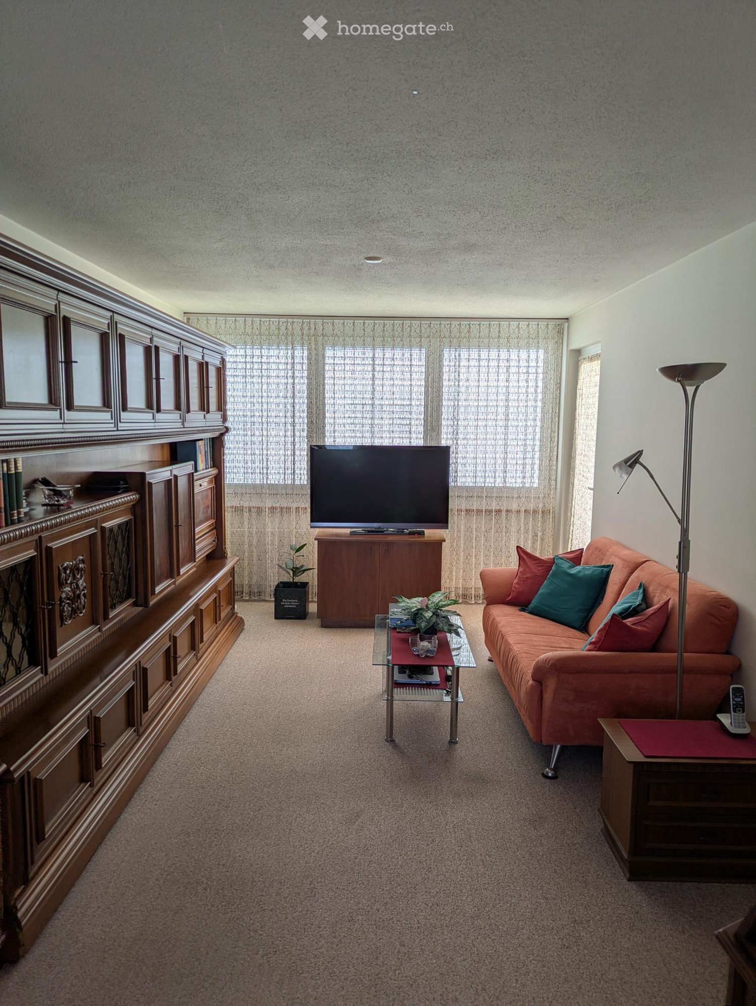 A cozy living room with a beige carpet, a wooden entertainment cabinet, a glass coffee table, a television, a sofa with colorful cushions, and a floor lamp.