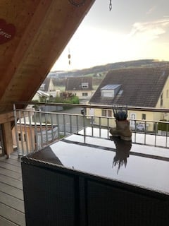 Charmante 4-Zimmer-Dachgeschosswohnung in Kefikon ZH mit sehr schöner Aussicht 4