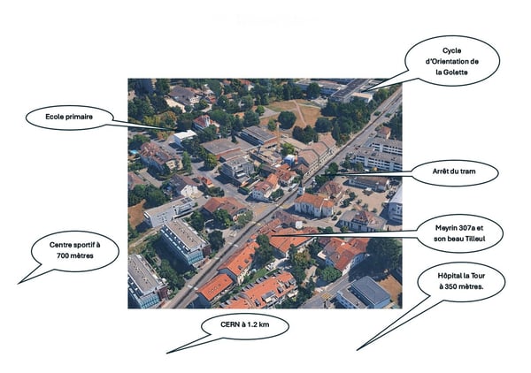 Exceptionnelle maison de village neuve de 5.5 pièces - Meyrin Village (GE) au calme, yc parking. 3