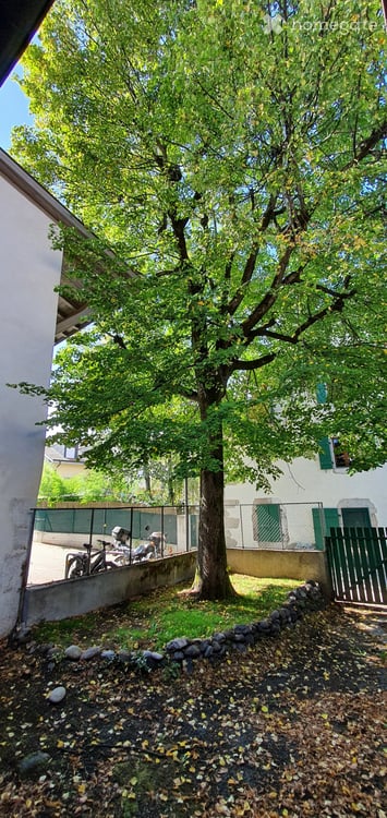 Exceptionnelle maison de village neuve de 5.5 pièces - Meyrin Village (GE) au calme, yc parking. 4