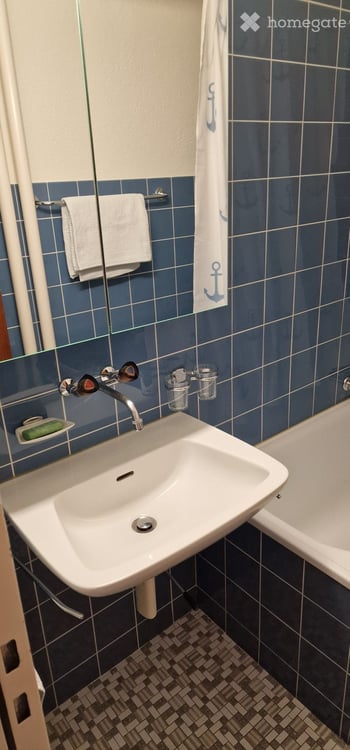 Im Dorfkern, ruhig mit grossem Südbalkon 10