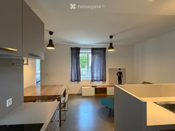 Charming 3.5-Room Apartment for Rent in Mendrisio – Renovated & Move-In Ready 3