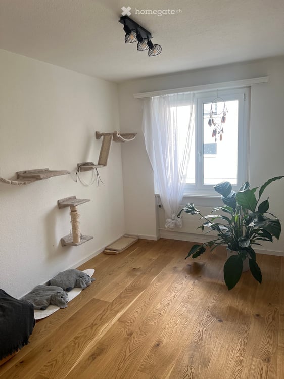 Helle 4.5-Zimmer-Wohnung mit Balkon in Kriens – modern renoviert! 5