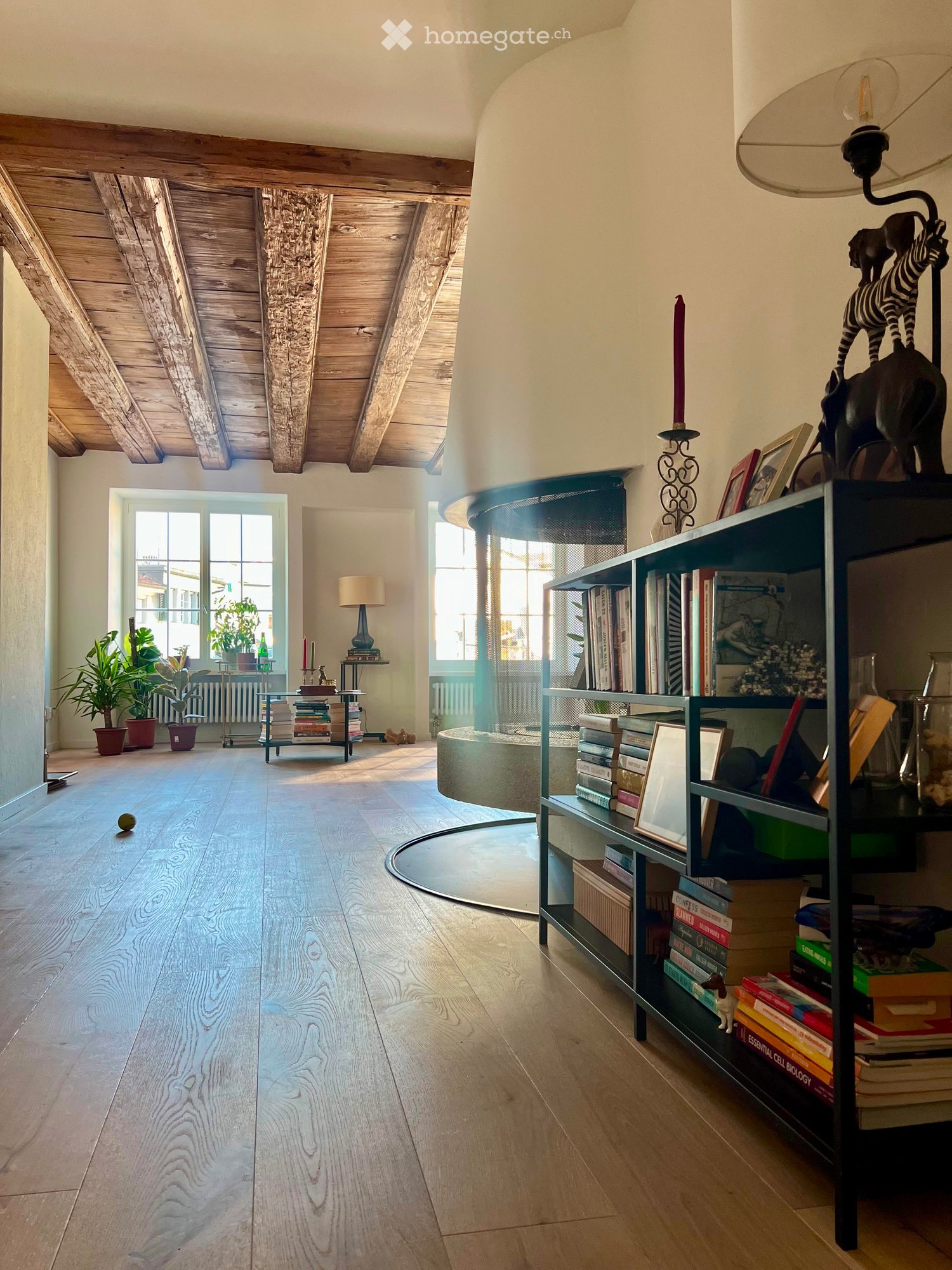Bright, airy living space with wooden floors, exposed wooden beams, large windows, bookshelf filled with books, small table with plants, and decorative items.