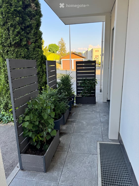 Gemütliche 2.5-Zimmer-Wohnung im ruhigen Schlierbach 2