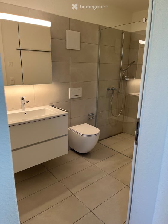ERSTVERMIETUNG 4.5- Zimmer-Attika-Wohnung, 8048 Zürich zu vermieten 7