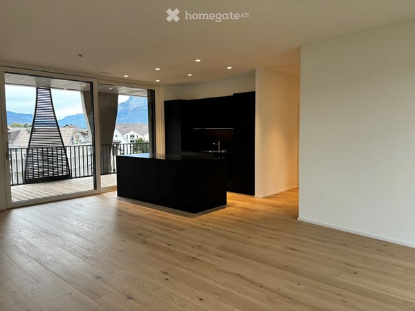 Moderne Attikawohnungen mit grosser Terrasse 7