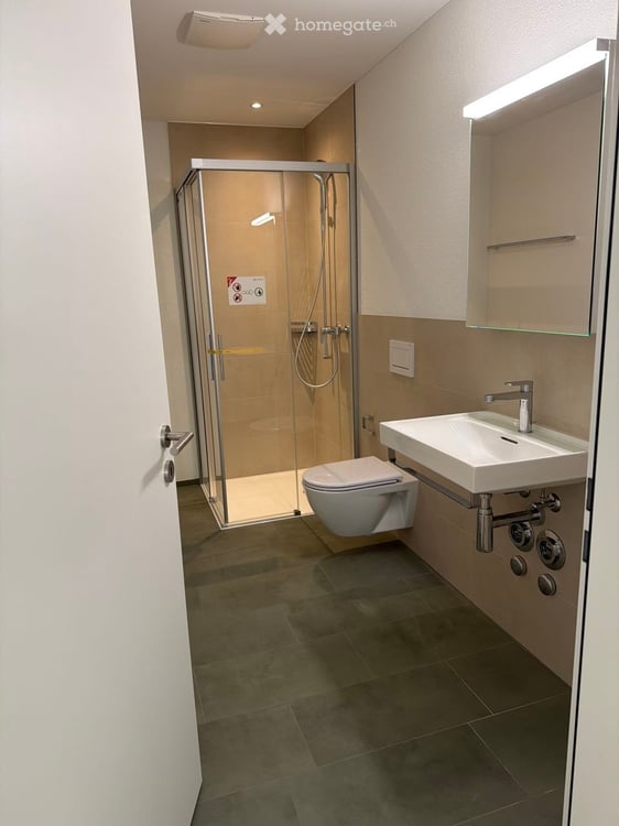 Ihr neues Zuhause nach Ihren Wünschen | Letzte exklusive 4.5-Zimmer-Eigentumswohnungen 3