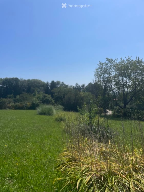 Herrschaftliche Villa mit herrlichem Blick auf Bodensee und Schweizer Berge in Alleinlage 10
