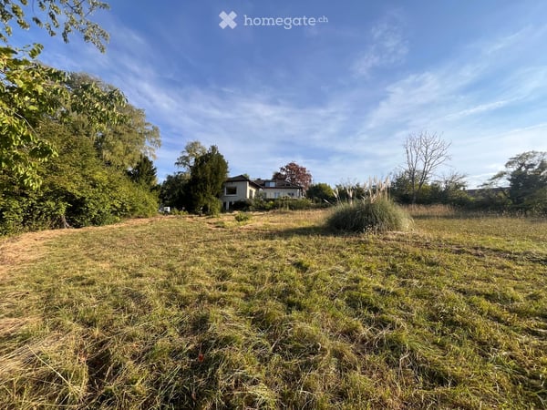 Herrschaftliche Villa mit herrlichem Blick auf Bodensee und Schweizer Berge in Alleinlage 4