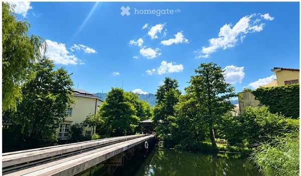 Wohnidylle in der Stadt Zürich 6