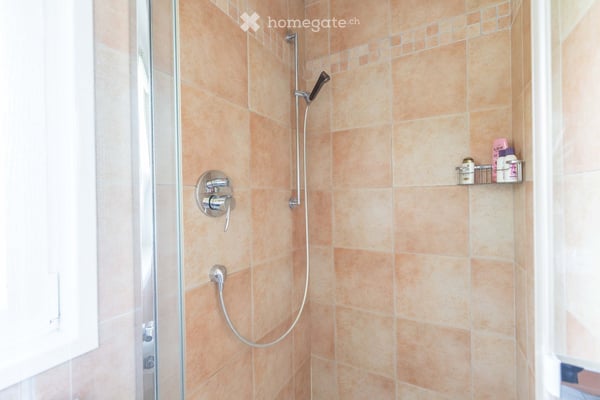 Elegant Villa in Collonge-Bellerive – 8 Rooms with Lake Proximity 17