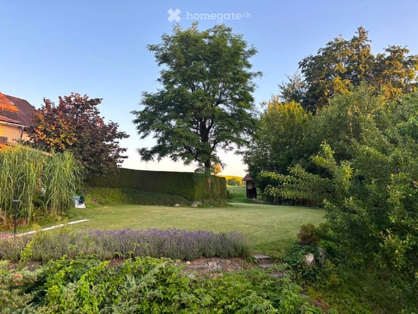 DEFH mit wunderschöner Aussicht und viel Privatsphäre in Wädenswil 6