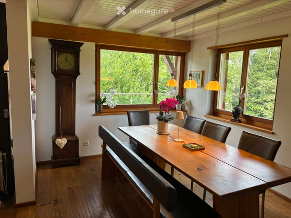 DEFH mit wunderschöner Aussicht und viel Privatsphäre in Wädenswil 4