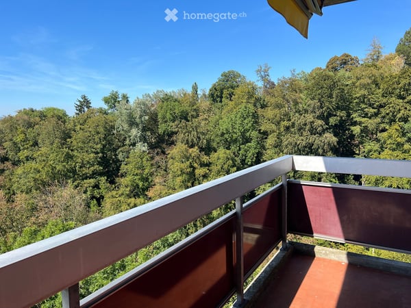 appartement de 3.5 pièces - quartier de Schönberg 7
