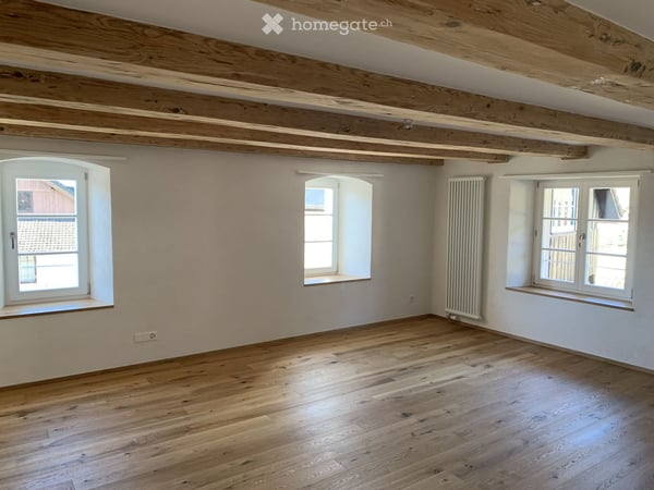 Renoviertes, historisches Doppel-Bauernhaus in Himmelried 4