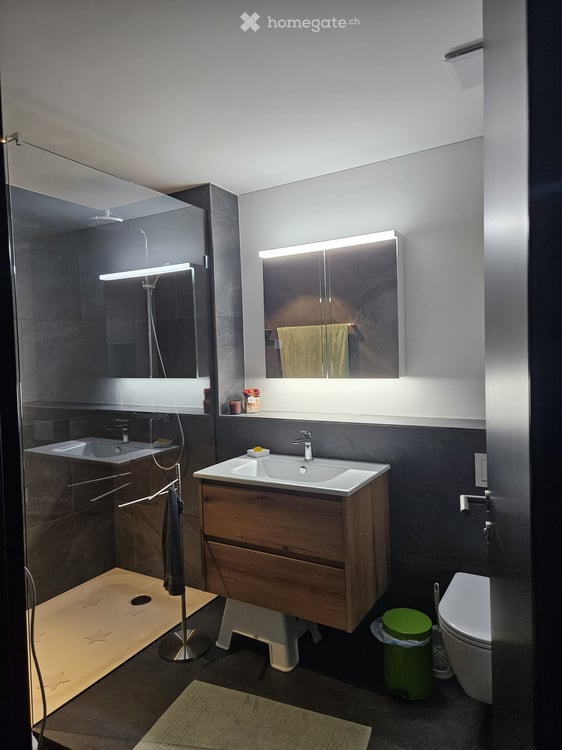 Neubau-Dachgeschosswohnung in Itzikon (bei Grüningen) 4