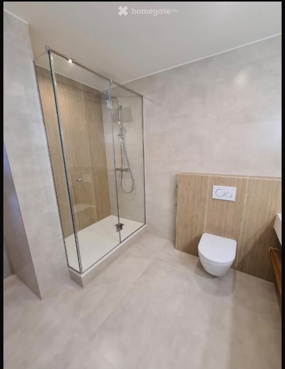 Élégant appartement de 4 pièces rénové, proche du centre-ville 7