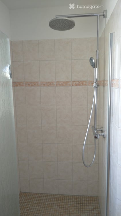 Lichtdurchflutete 5.5-Zimmer-Wohnung mit grossem Balkon und 2 Aussenabstellplätzen 11