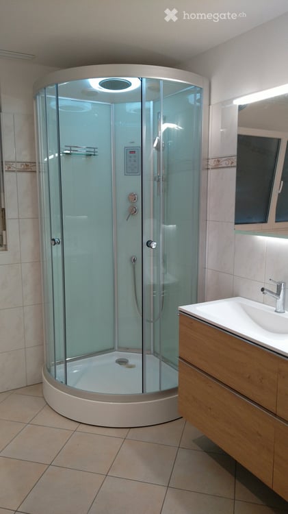 Lichtdurchflutete 5.5-Zimmer-Wohnung mit grossem Balkon und 2 Aussenabstellplätzen 13