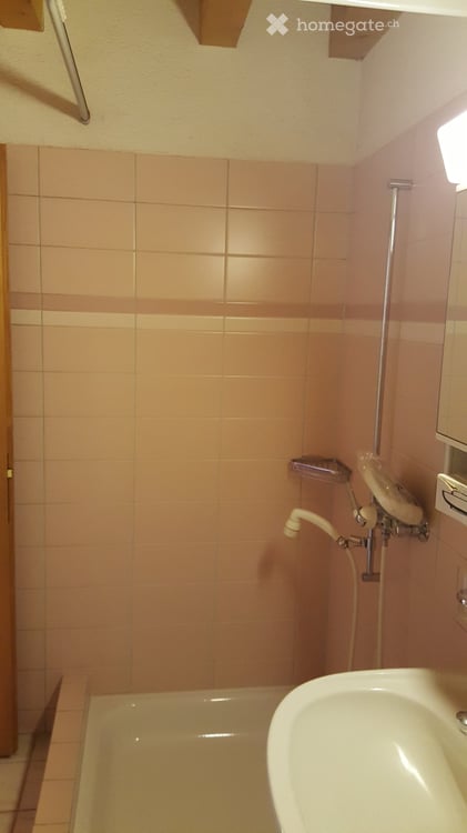 2.5-Zimmer-Wohnung im Grünen - oberhalb Girenbad Hinwil 13