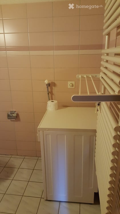 2.5-Zimmer-Wohnung im Grünen - oberhalb Girenbad Hinwil 14
