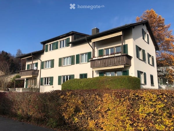 Charmante 2.5-Zimmer-Dachwohnung an ruhiger Lage in Effretikon 5
