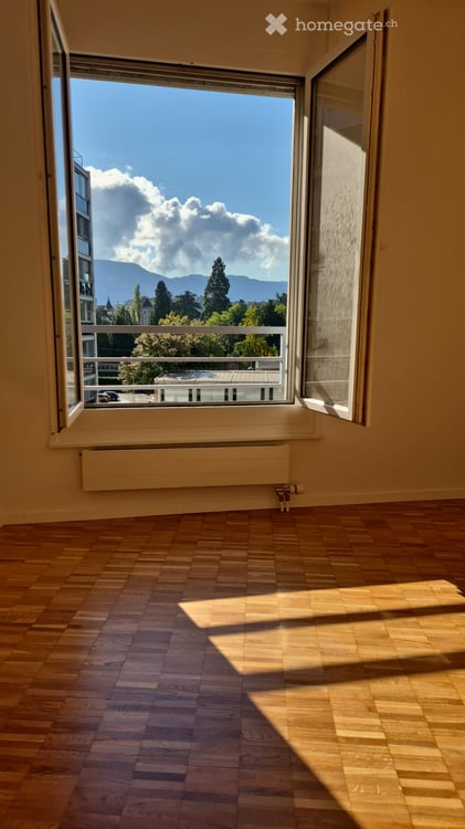 Magnifique appartement lumineux et rénové de 4 pièces – Vue iconique sur le Rhône 7