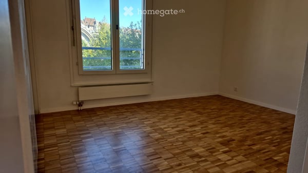 Magnifique appartement lumineux et rénové de 4 pièces – Vue iconique sur le Rhône 6