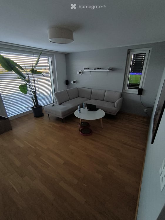 Charmante 3.5-Zimmer-Dachwohnung in Winterthur