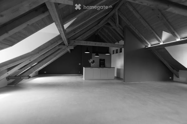 Loft-Dachwohnung in Uetikon am See