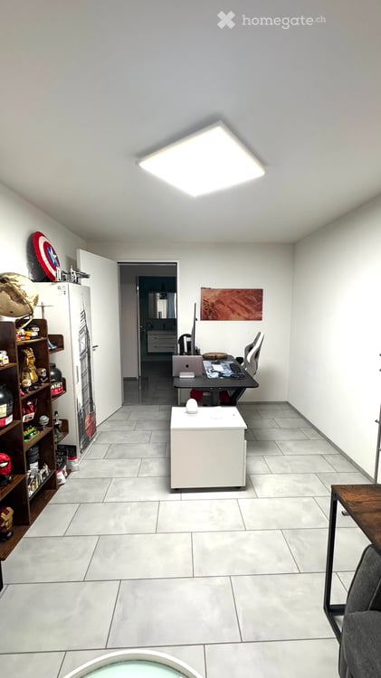 Moderne 4.5-Zimmer-Neubauwohnung mit Balkon in Birr 11