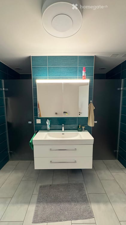 Moderne 4.5-Zimmer-Neubauwohnung mit Balkon in Birr 15