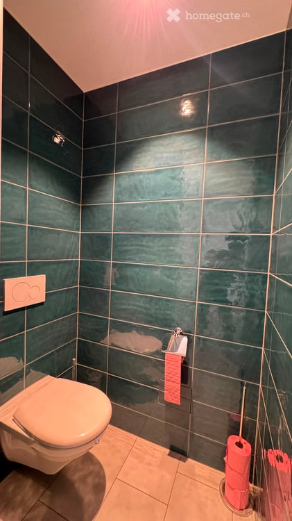 Moderne 4.5-Zimmer-Neubauwohnung mit Balkon in Birr 16