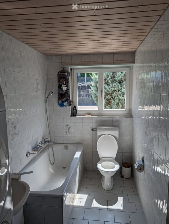 Freistehendes 5.5-Zimmer-Einfamilienhaus mit grossem Garten & viel Privatsphäre 18