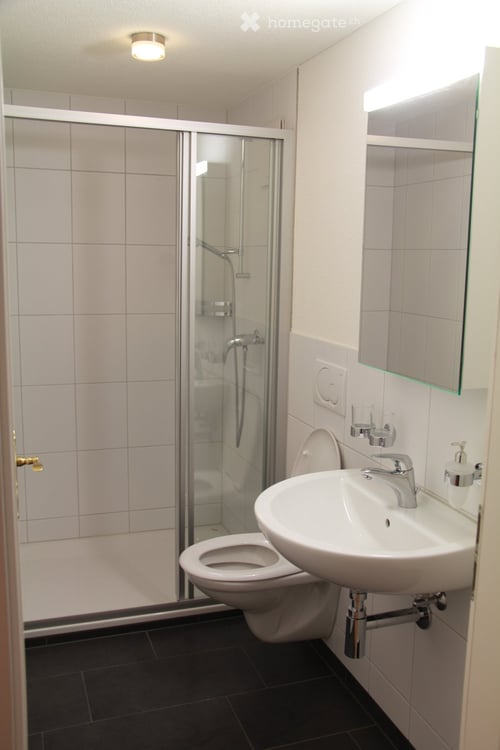 3 Zimmer-Wohnung an zentraler Lage zu vermieten 9