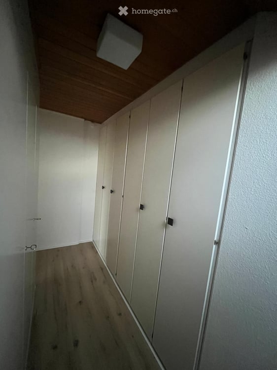 Wohnen in Münchenstein im Grünen mit Blick über Basel 12