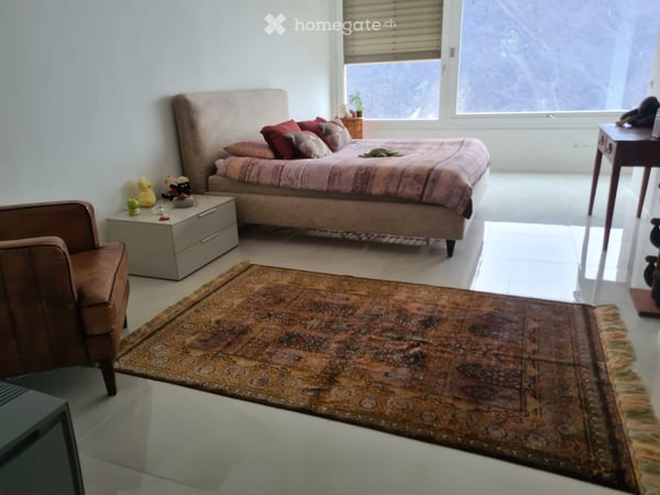 Charming 2.5-Room Apartment with Stunning Views in Ruvigliana 6