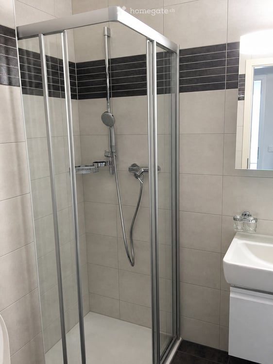 Bel appartement de 4.5 pièces avec jardin, Saint-Sulpice 14