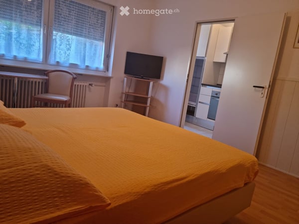 Möblierte 1-Zimmer-Wohnung in Basel, Sperrstrasse 45 4