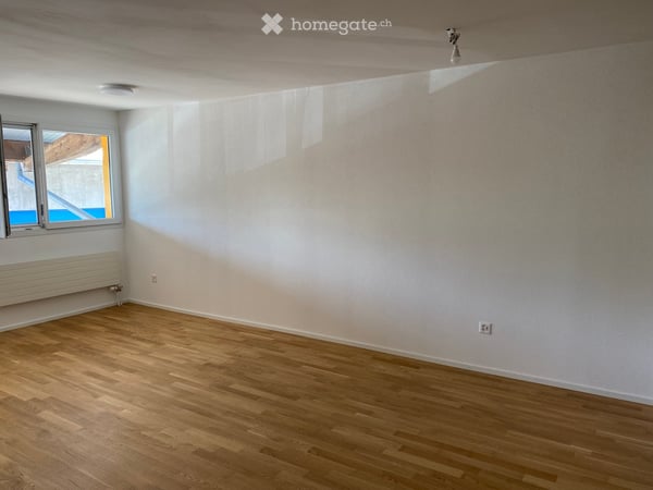 1.5 Zimmer Studio in Wallenwil/Eschlikon 4