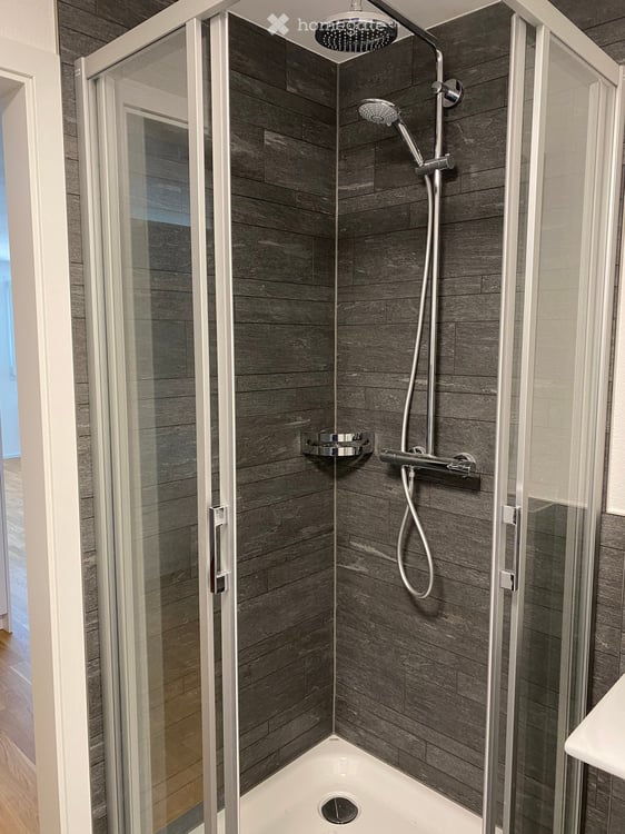 1.5 Zimmer Studio in Wallenwil/Eschlikon 7