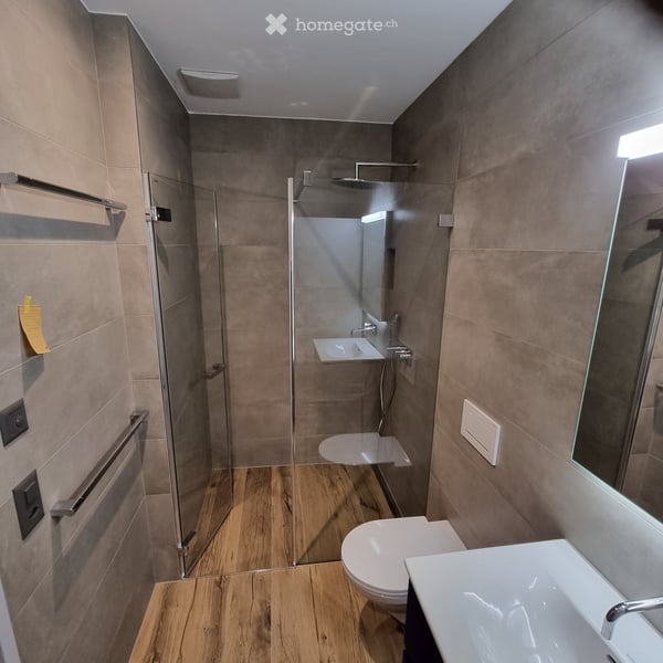 Helle 4.5-Zimmer-Neubauwohnung (113 m²) im Erdgeschoss in Cham mit gedecktem Sitzplatz & Garten 10
