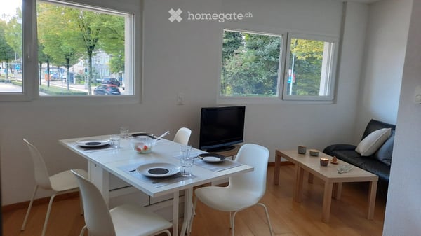 Magnifique appartement de standing de 1,5 pièces très lumineux 4