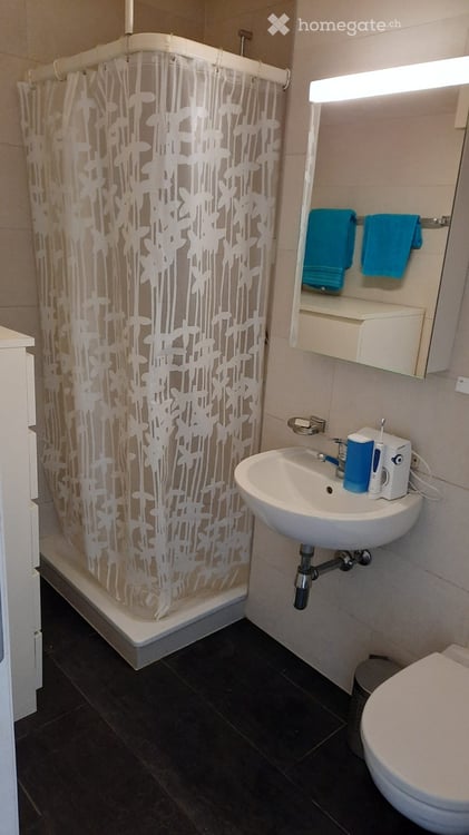 Magnifique appartement de standing de 1,5 pièces très lumineux 2