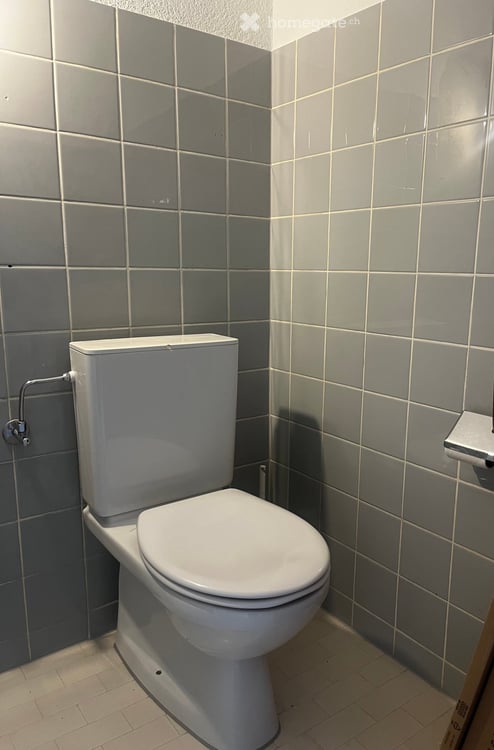 Charmante 4.5-Zimmer-Wohnung in Aegerten – sofort verfügbar! 17