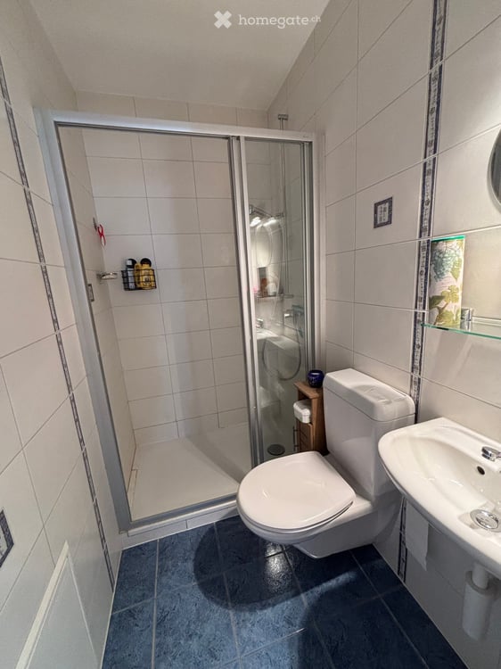 Appartement attique de 3.5 pièces avec vue sur le lac à Grandson 4